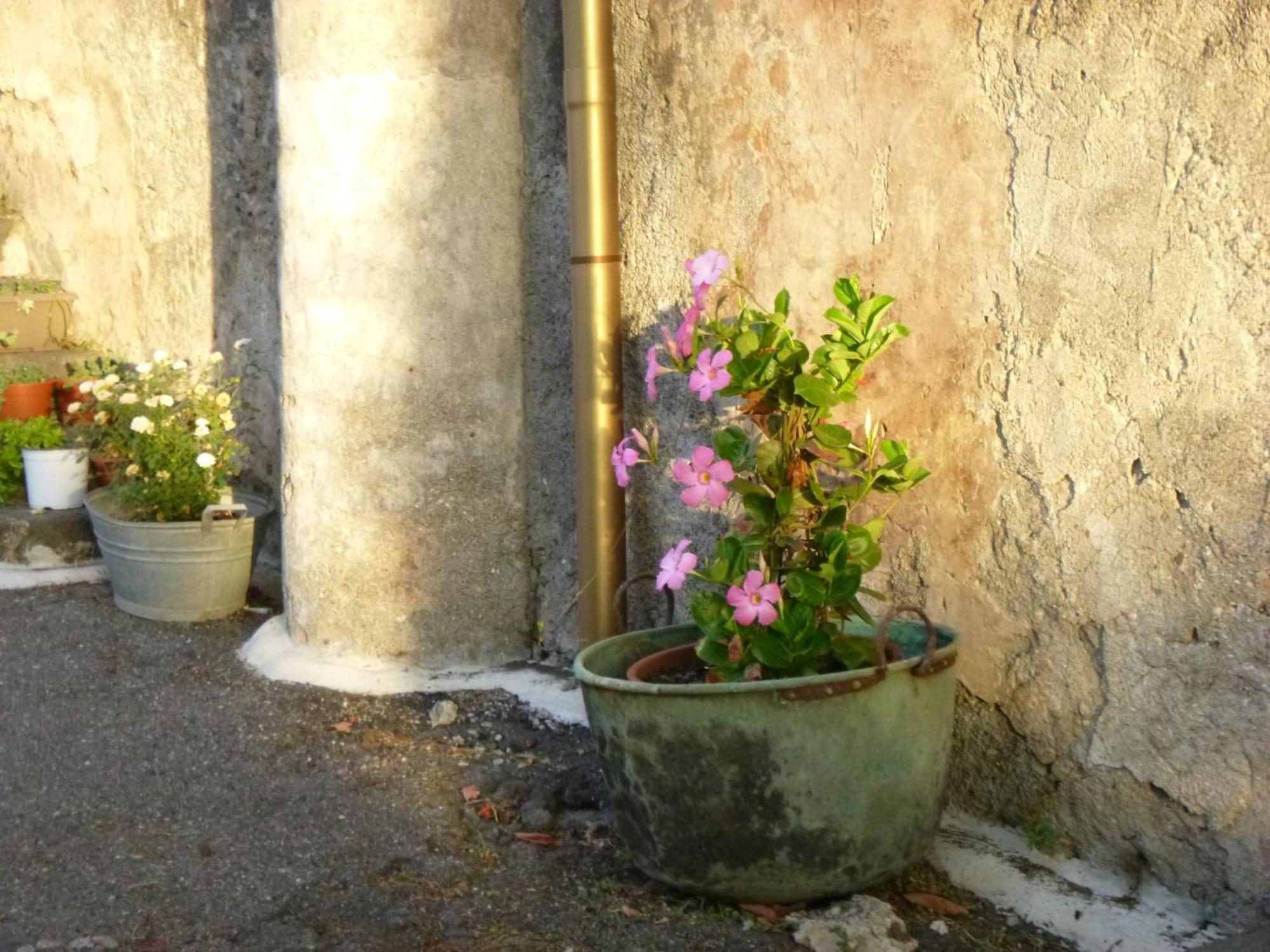 Baglio Delle Rose Bed & Breakfast Giarre Exterior photo